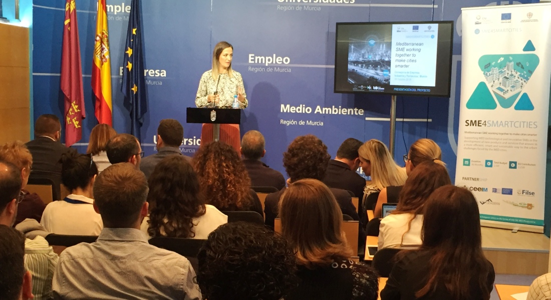 CEEIM-smart-cities-SME4SMARTCITIES-2019