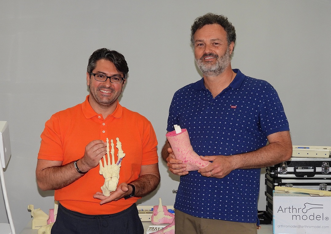 Ceeim-modelos-anatomicos-Arthromodel-2022