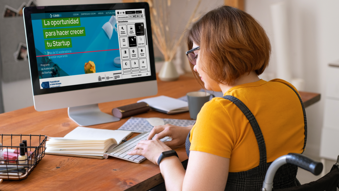 Ceeim-Inclusion-Widget-2024